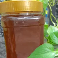 عسل طبیعی درمانی با برگه آزمایش( ۱کیلو )|خوردنی و آشامیدنی|قم, شهر قائم|دیوار