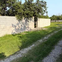 230-بافت-تنکابن