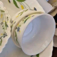 انواع آرکوپال مارک امارات