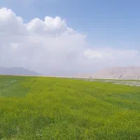 فروش سیم کارت رند