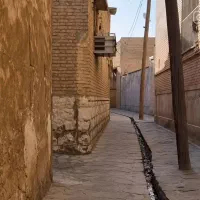 فروش فوری قفس برای پرندگان