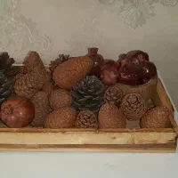 کلبه دکوری لانه پرنده ، حلقه های پشت ، تعدادی کاج|صنایع دستی و سایر لوازم تزئینی|اهواز, شهرک حفاری|دیوار