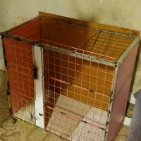 لانه حیوانات|لوازم جانبی حیوانات|سرپل ذهاب, |دیوار