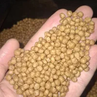 غذای ماهی کپور آمور و کوی اکسترود روآبی )لوفاک