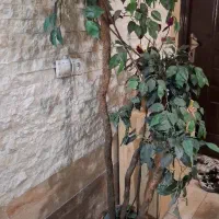 درختچه مصنوعی