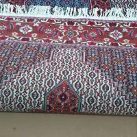 فرش دستباف 2/3|فرش|سنندج, |دیوار