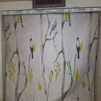 پرده زبرا