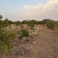 زمین-باغی