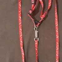 قلاده گربه