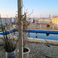 مشارکت در احداث گلخانه|مشارکت در ساخت املاک|چهارباغ, |دیوار