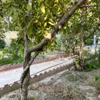 ۷۸۰مترزمین باغ بابنا/بافت/سندتکبرگ/کردان تهراندشت|فروش زمین و ملک کلنگی|کرج, فاز ۲ مهرشهر|دیوار