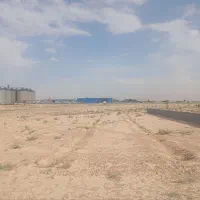 زمین-باغی