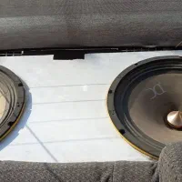 میدرنج  ۱۰ اینچ