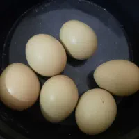 تخم مرغ زینتی