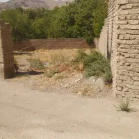 ۳۳۷/۵ زمین در بهترین جای بلوار سد لتیان خ سرهنگ|فروش زمین و ملک کلنگی|جاجرود, |دیوار