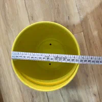 دو عدد گلدان|گل و گیاه طبیعی|بجنورد, |دیوار