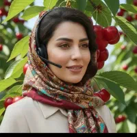 فروش نهال کبوده صنوبربادام زالزالک به ازگیل گلدانی