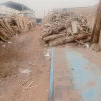 خرید چوب باغی سقفی به صورت|خدمات باغبانی و درختکاری|مشهد, توس (بلوار توس)|دیوار