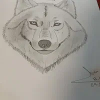 سفارش طراحی