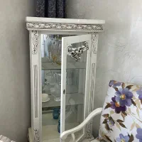 بوفه ویترین شیک سالم سالم فقط ۴ تومن