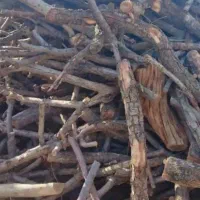 بریدن و هرس کردن درخت|خدمات باغبانی و درختکاری|شهریار, ابراهیم‌آباد|دیوار