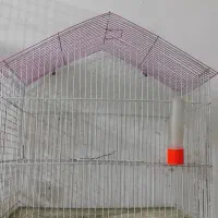 قفس طوطی برزیلی،راهب،فنچ،|لوازم جانبی حیوانات|سوسنگرد, |دیوار