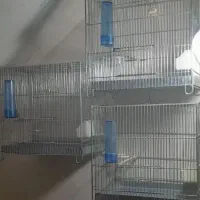 قفس آرمان|لوازم جانبی حیوانات|مراغه, |دیوار