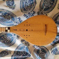 سه‌تار استاد پژمان همراه هاردکیس و هدیه