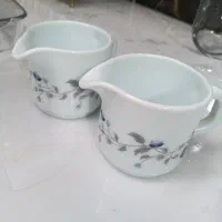 دیس آرکوپال|ظروف سرو و پذیرایی|قم, ولیعصر|دیوار