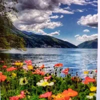 پیداکردن دوستان خدمت سربازی