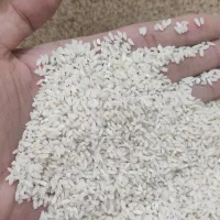 برنج شمشیری-سرابله