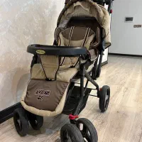 کالسکه دلیجان|کالسکه و لوازم جانبی|یزد, |دیوار