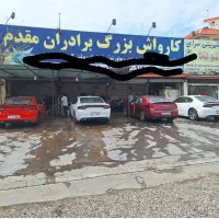 نیروی کار در کارواش