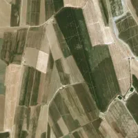 زمین-کشاورزی-با-آب