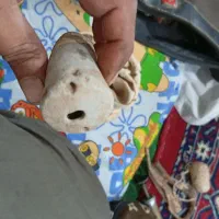 روغندان یا چراغ گبری