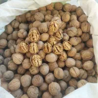 گردودشتک|خوردنی و آشامیدنی|شیراز, حومه شیراز|دیوار