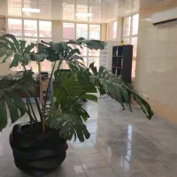 پشتیبان خانم و آقا