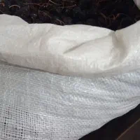 گردو روغنی الموت|خوردنی و آشامیدنی|قزوین, |دیوار