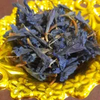 گل گاوزبان