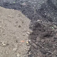 خاک باغچه مرغوب و درجه ۱|خدمات باغبانی و درختکاری|رشت, لاکان|دیوار