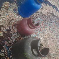 پیک نیک