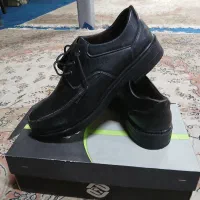 کفش|کیف، کفش، کمربند|قوچان, |دیوار