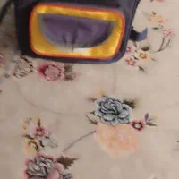 کیف|کیف، کفش، کمربند|نیشابور, شهرک اندیشه|دیوار