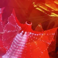 گروه ساقدوشی و دفنوازی مَه دُخت|خدمات پذیرایی، مراسم|کرمانشاه, |دیوار