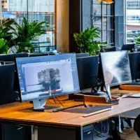 آقا و خانم کارمند فارکس و کریپتو