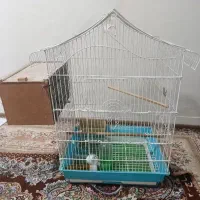 قفس