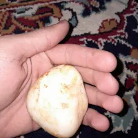 سنگ زیبا|ماهی|شیروان (خراسان), |دیوار