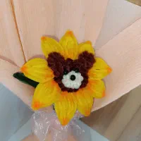 گلهای جاودانه گلهای پیپ پاکن