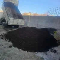 کود پوسیده درجه ۱ در دماوند و حومه|خدمات باغبانی و درختکاری|آبسرد, |دیوار