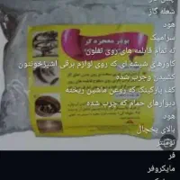 شستشوی معجزه